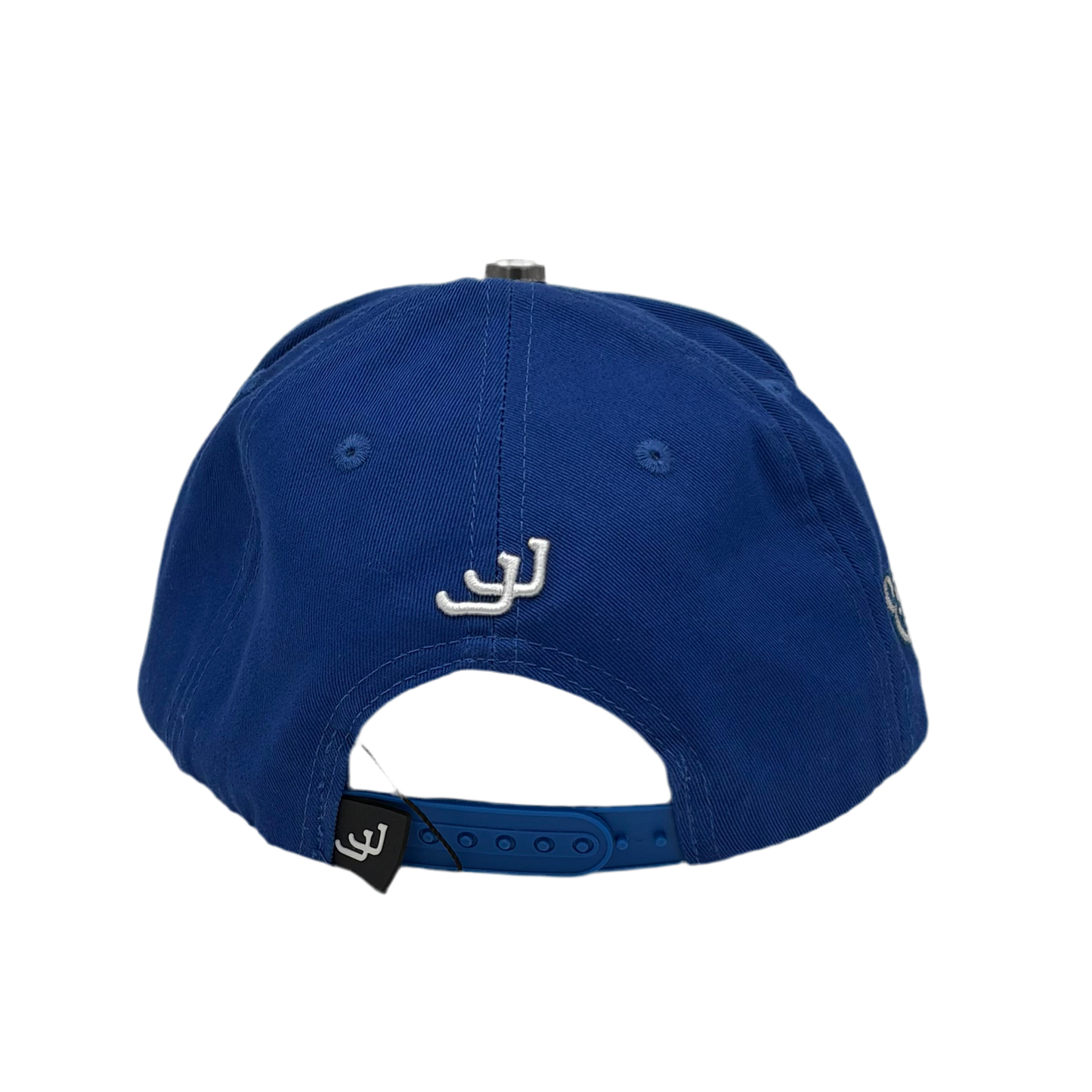 JJ Hats- “NY Money”