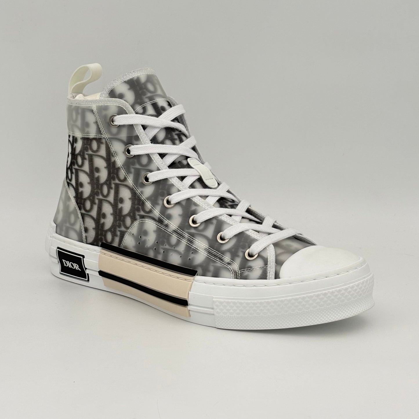 Dior B23 High Top Logo Oblique