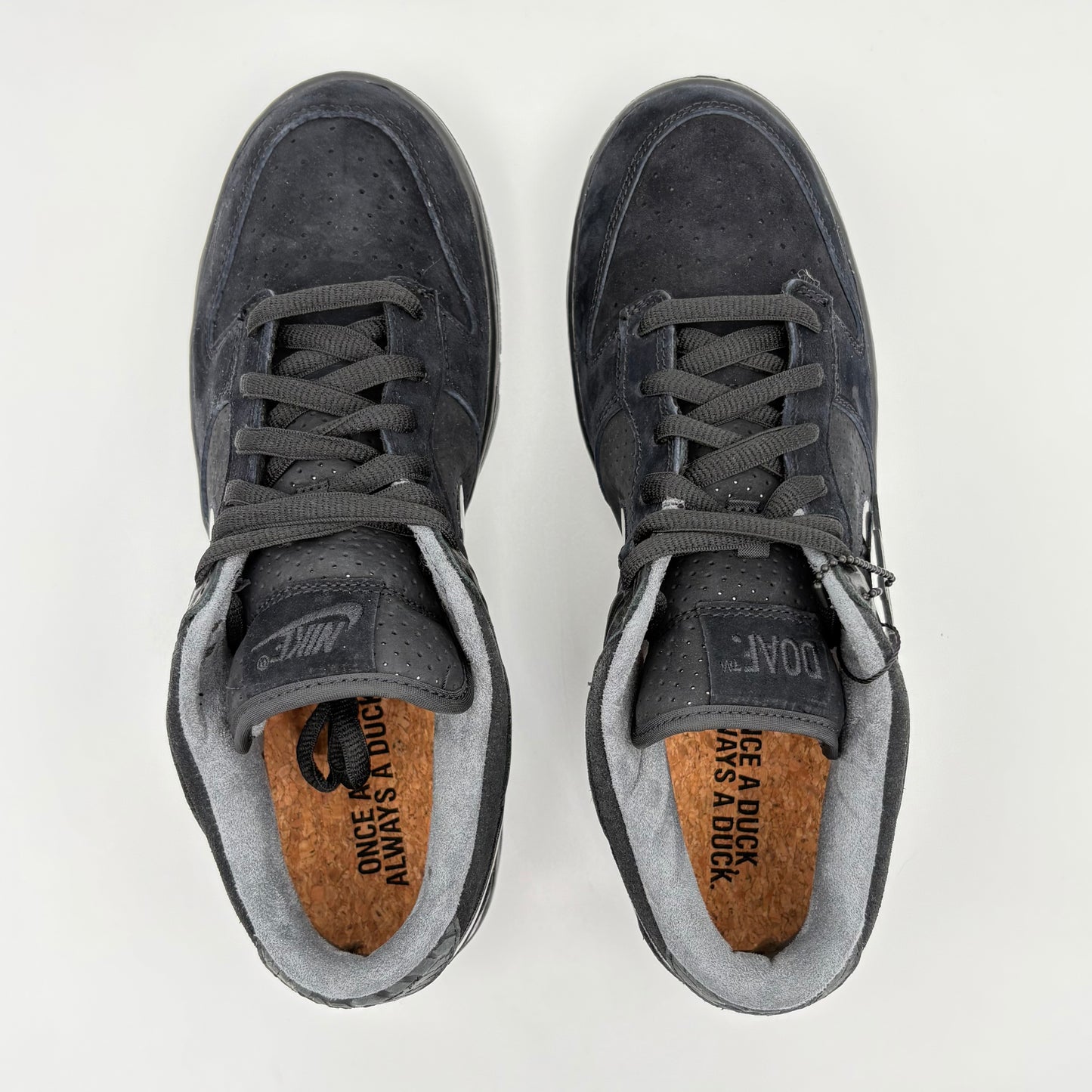 Nike Dunk Low Ducks of a Feather Black University of Oregon PE